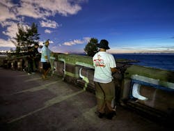 okinawa.nature.ashibi堂(オキナワネイチャーアシビドウ)に投稿された画像(2025/8/14)
