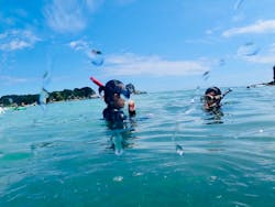 Diving ショップKiaoraに投稿された画像(2025/8/14)