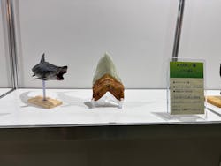 京都 大恐竜博 ~動く!吠える!暴れる!大迫力の巨大恐竜がやってくる~に投稿された画像(2025/8/17)