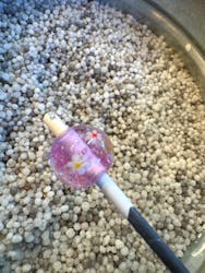 taruhi glass works(タルヒグラスワークス)に投稿された画像(2025/8/17)