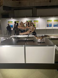 京都 大恐竜博 ~動く!吠える!暴れる!大迫力の巨大恐竜がやってくる~に投稿された画像(2025/8/18)