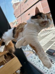 アソビュー株式会社 162724に投稿された画像(2025/8/24)