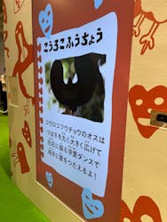 君も博士になれる展 in東京ミッドタウン八重洲に投稿された画像(2025/8/24)