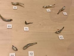 キボリノコンノ展 @静岡市清水文化会館マリナートに投稿された画像(2025/8/28)