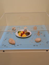 キボリノコンノ展 @静岡市清水文化会館マリナートに投稿された画像(2025/8/29)