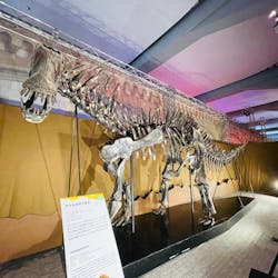巨大恐竜展2025に投稿された画像(2025/8/31)