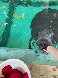 沖縄美ら海水族館(館内体験)に投稿された画像(2025/9/5)