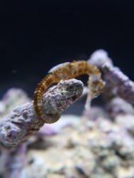 遊べる水族園に投稿された画像(2025/9/7)