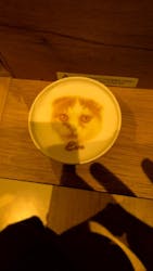 Cat Café MOFF イオンモール広島府中店に投稿された画像(2025/9/11)