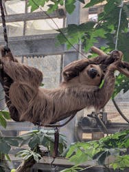 AQUARIUM × ART atoa×神戸どうぶつ王国に投稿された画像(2025/9/13)