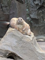 AQUARIUM × ART atoa×神戸どうぶつ王国に投稿された画像(2025/9/13)