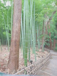 偕楽園本園に投稿された画像(2025/9/13)