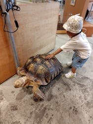 Moff animal cafe MARKIS 福岡ももち店に投稿された画像(2025/9/13)