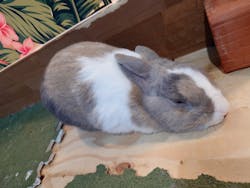 アクアリゾート岐阜ふじの湯に投稿された画像(2025/9/14)