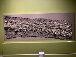 特別展「世界遺産 縄文」に投稿された画像(2025/9/15)