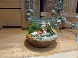 Feel the Garden幕張店に投稿された画像(2025/9/15)