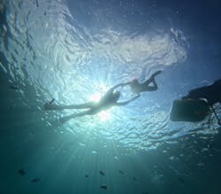 沖縄ゴリダイブに投稿された画像(2025/9/16)