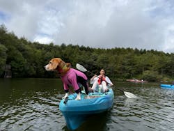 八ヶ岳アウトドア・アクティヴィティーズに投稿された画像(2025/9/21)