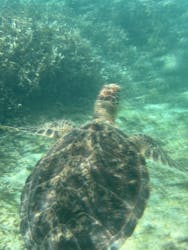 ON SHORE(オンショア)に投稿された画像(2025/9/21)