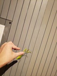 那須とりっくあーとぴあに投稿された画像(2025/9/21)