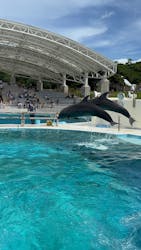 沖縄美ら海水族館(館内体験)に投稿された画像(2025/9/22)