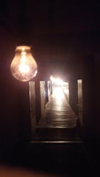 大地の芸術祭 実行委員会に投稿された画像(2025/9/23)