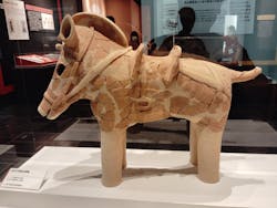 特別展「古代DNA-日本人のきた道-」に投稿された画像(2025/9/25)