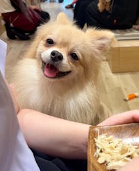 いぬカフェRio 秋葉原店に投稿された画像(2025/9/27)