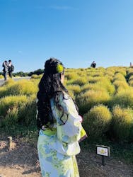 着物レンタルVASARA 新宿駅前店に投稿された画像(2025/9/28)