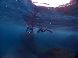 ダイブハウス富戸に投稿された画像(2025/9/28)