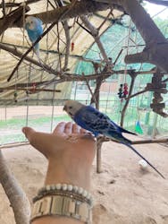 ダチョウ王国石岡ファームに投稿された画像(2025/9/29)