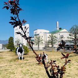湯の華銭湯 瑞祥 松本館に投稿された画像(2025/10/4)