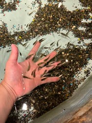 アクアテラス錦ケ丘に投稿された画像(2025/10/4)