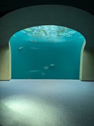 四国水族館に投稿された画像(2025/10/5)