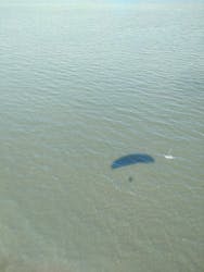 スカイエンジェルに投稿された画像(2025/10/10)