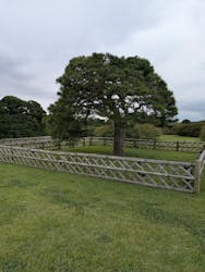 偕楽園本園に投稿された画像(2025/10/12)