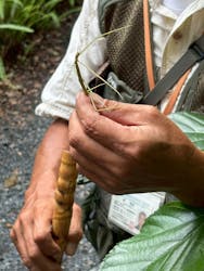 アイランドサービスに投稿された画像(2025/10/13)