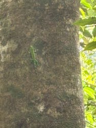 アイランドサービスに投稿された画像(2025/10/13)