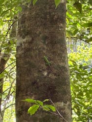 アイランドサービスに投稿された画像(2025/10/13)