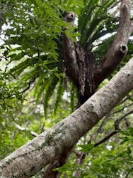 アイランドサービスに投稿された画像(2025/10/13)