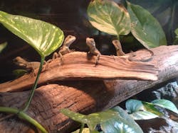 体感型動物園iZooに投稿された画像(2025/10/13)