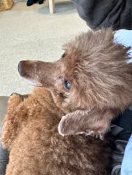 Moff animal cafe iias つくば店に投稿された画像(2025/10/14)