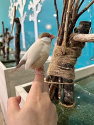 Moff animal cafe iias つくば店に投稿された画像(2025/10/14)