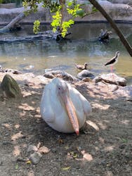 神戸どうぶつ王国×有馬街道温泉すずらんの湯に投稿された画像(2025/10/16)