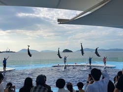 四国水族館に投稿された画像(2025/10/16)
