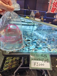 アクアリウム東京に投稿された画像(2025/10/18)