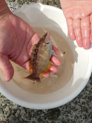 和歌山市観光協会に投稿された画像(2025/10/18)