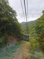 寒霞渓ロープウェイに投稿された画像(2025/10/19)