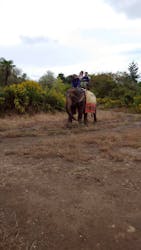 那須ワールドモンキーパークに投稿された画像(2025/10/19)