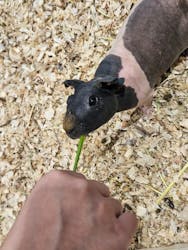 アニタッチアクアシティお台場に投稿された画像(2025/10/20)